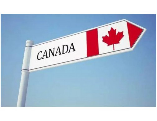 土耳其移民代办中介：选对伙伴，一步到位拿护照